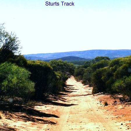 Wudinna Farm View מראה חיצוני תמונה