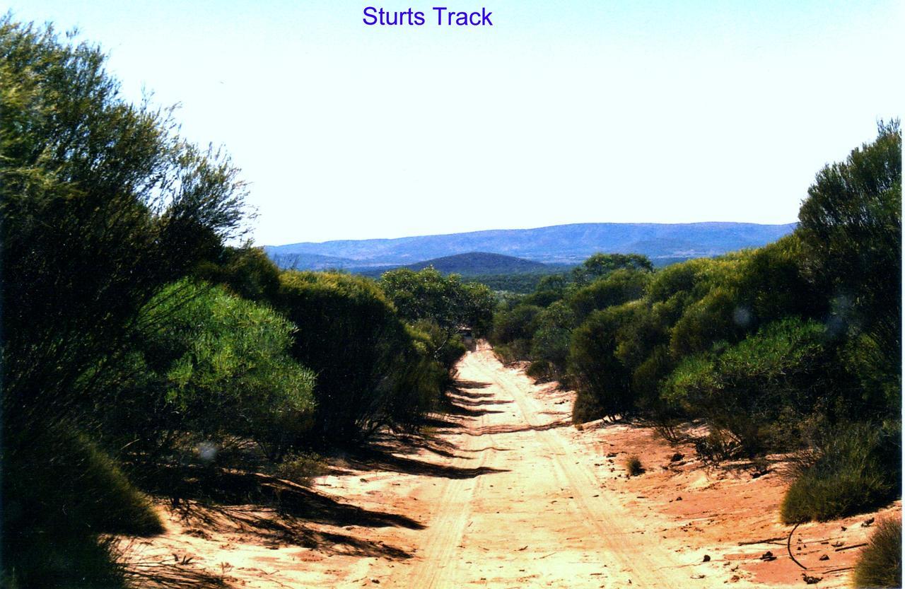 Wudinna Farm View מראה חיצוני תמונה