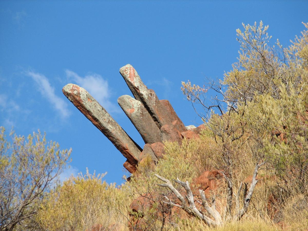 Wudinna Farm View מראה חיצוני תמונה